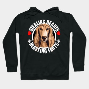 Funny Afghan Hound Stealing Hearts Blasting Farts Dog Cute Puppy Hoodie